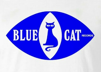 Blue Cat T-Shirt White and Blue Tshirt